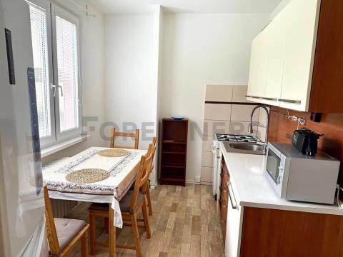 Pronájem bytu 2+1, Hradec Králové, Jungmannova, 59 m2