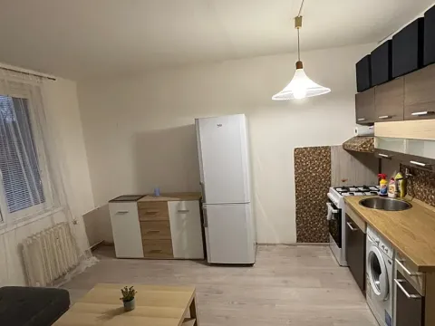 Pronájem bytu 1+1, Karlovy Vary, Družstevní, 37 m2