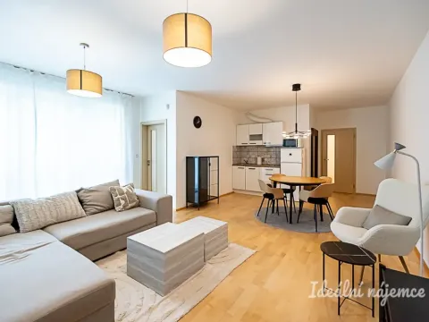 Pronájem bytu 2+kk, Praha - Žižkov, Olšanská, 69 m2