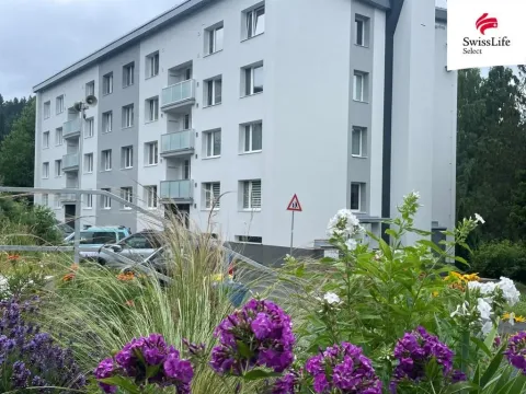 Prodej bytu 1+1, Rokytnice nad Jizerou - Horní Rokytnice, 37 m2