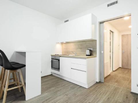 Pronájem bytu 1+kk, Praha - Libeň, Kurta Konráda, 39 m2