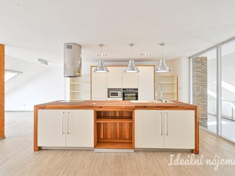 Pronájem bytu 6+kk a větší, Slavkov u Brna, U Mlýna, 260 m2