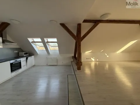 Pronájem bytu 3+1, Most, Čsl. armády, 110 m2