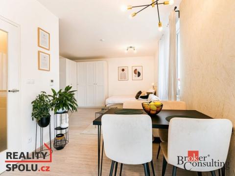 Pronájem bytu 1+kk, Brno, Reissigova, 43 m2