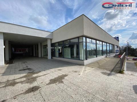Pronájem obchodního prostoru, Plzeň - Severní Předměstí, alej Svobody, 380 m2