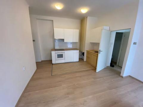 Pronájem bytu 1+1, Praha - Dejvice, Na Hanspaulce, 36 m2