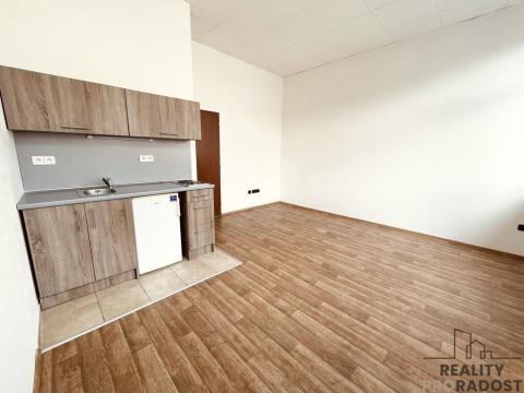 Pronájem bytu 1+kk, Olomouc, Březinova, 38 m2