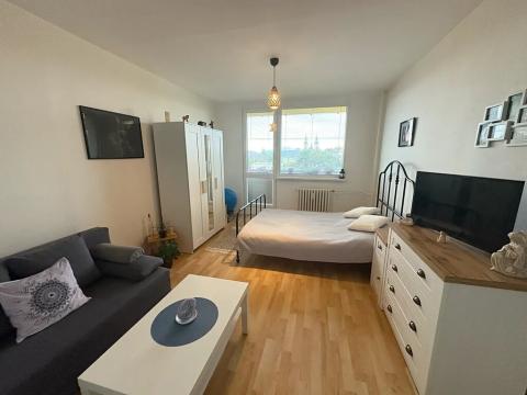 Pronájem bytu 1+1, Frýdek-Místek, K Hájku, 39 m2