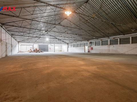 Pronájem skladu, Ostrava - Zábřeh, U Studia, 704 m2