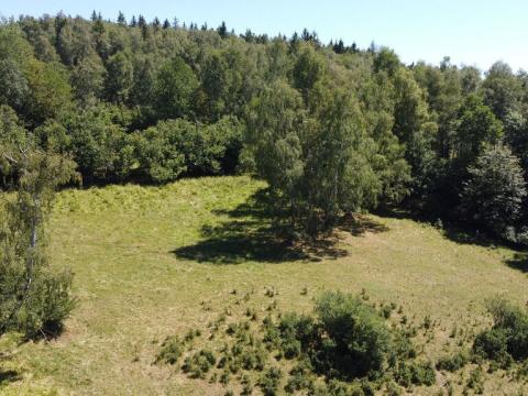 Prodej pole, Strašín, 33898 m2