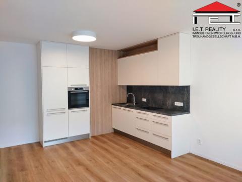Pronájem bytu 2+kk, Brno, Františkánská, 54 m2