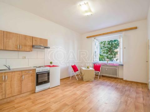 Pronájem bytu 1+kk, Praha, Na Skalce, 27 m2