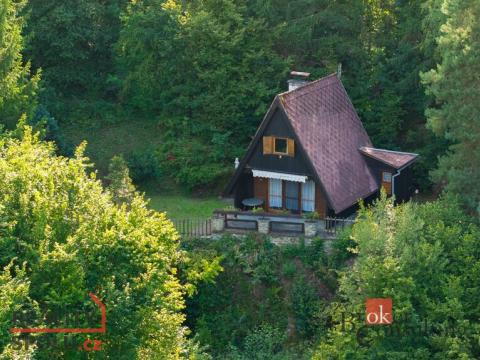 Prodej chaty, Blovice, Kamensko, 325 m2