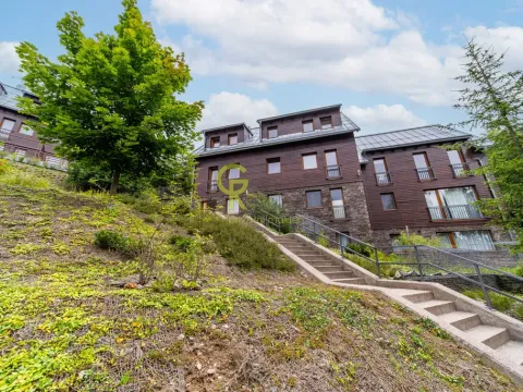 Prodej bytu 1+kk, Jablonec nad Jizerou - Bratrouchov, 48 m2