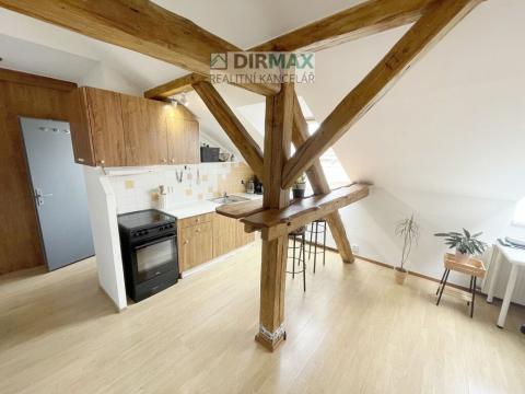 Pronájem bytu 1+kk, Plzeň - Jižní Předměstí, Doudlevecká, 33 m2