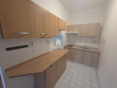 Pronájem bytu 1+kk, Plzeň, Plovární, 42 m2