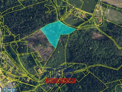 Prodej lesa, Železný Brod - Bzí, 6802 m2
