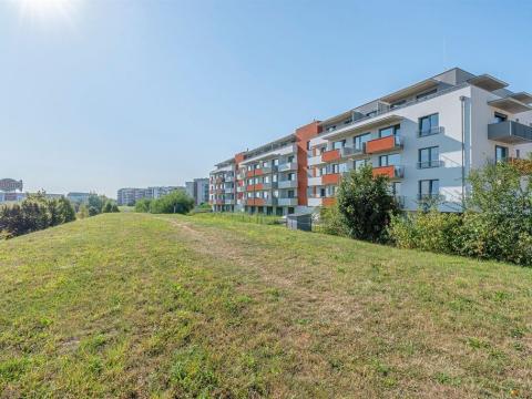 Pronájem bytu 1+kk, Olomouc - Řepčín, Aloise Rašína, 35 m2