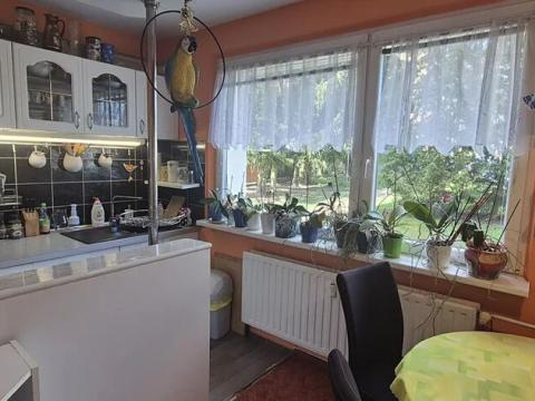 Pronájem bytu 3+1, Česká Lípa, Újezd, 75 m2
