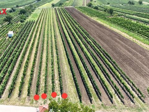 Prodej pozemku, Rakvice, 1941 m2