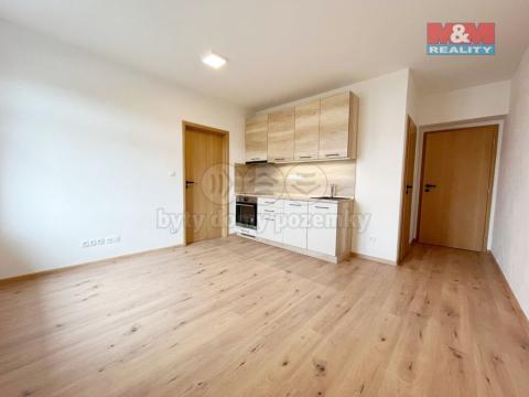 Pronájem bytu 2+kk, Plzeň - Doubravka, Masarykova, 44 m2