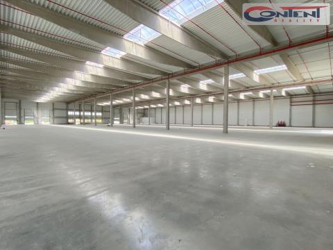 Pronájem výrobních prostor, Tachov - Oldřichov, 5249 m2
