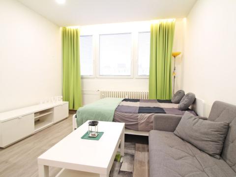 Pronájem bytu 1+kk, Brno - Lesná, Halasovo náměstí, 23 m2