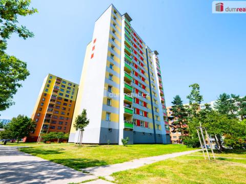 Pronájem bytu 1+1, České Budějovice - České Budějovice 2, M. Chlajna, 38 m2