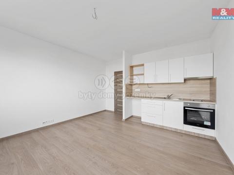 Prodej bytu 2+kk, Teplice - Trnovany, U Červeného kostela, 43 m2