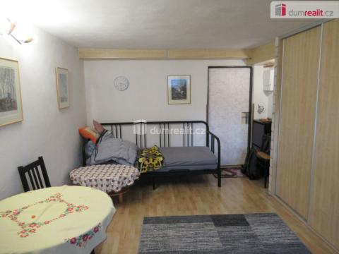 Pronájem bytu 1+kk, Zbuzany, V Zahradě, 22 m2