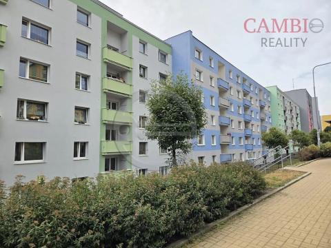 Pronájem bytu 1+1, Cheb, Dvořákova, 42 m2
