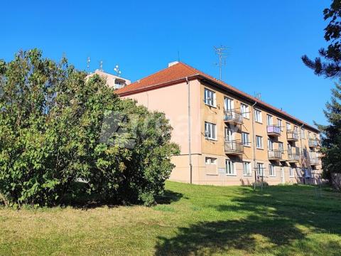 Prodej bytu 3+1, Náměšť nad Oslavou, 78 m2