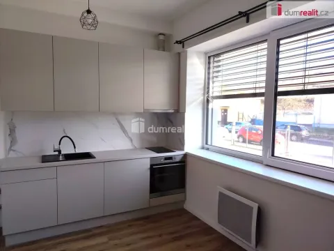 Pronájem bytu 1+kk, Děčín - Děčín III-Staré Město, Zelená, 21 m2