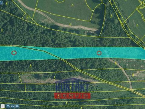 Prodej lesa, Studená - Velký Jeníkov, 7812 m2