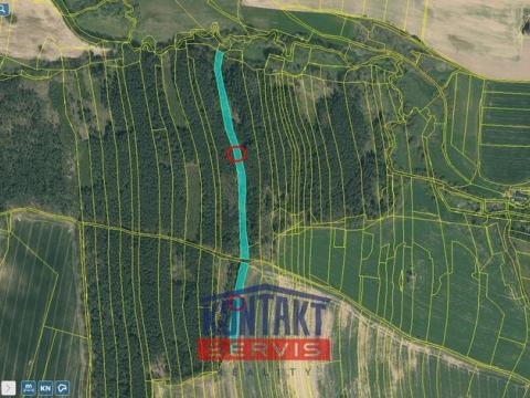 Prodej lesa, Třebějice, 10125 m2