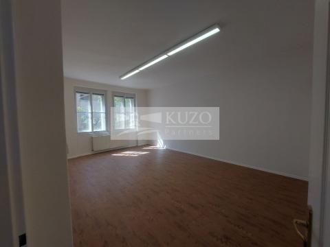 Pronájem bytu 5+1, Praha, Na Březince, 150 m2