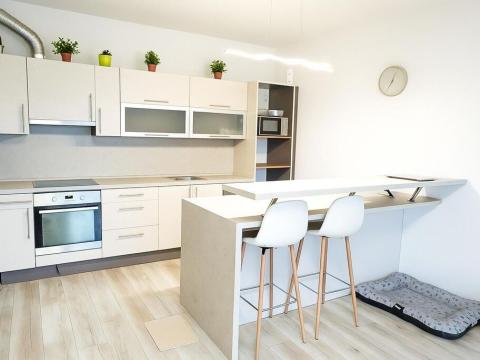 Pronájem bytu 2+kk, Mladá Boleslav - Michalovice, 79 m2