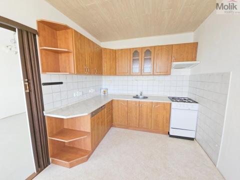 Prodej bytu 3+1, Litvínov - Janov, Hamerská, 69 m2