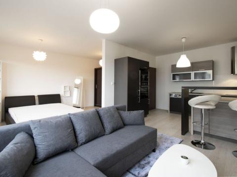 Pronájem bytu 1+kk, Praha - Hlubočepy, Hugo Haase, 48 m2