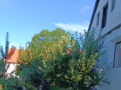 Pronájem chalupy, Sedlec-Prčice - Myslkov, 66 m2