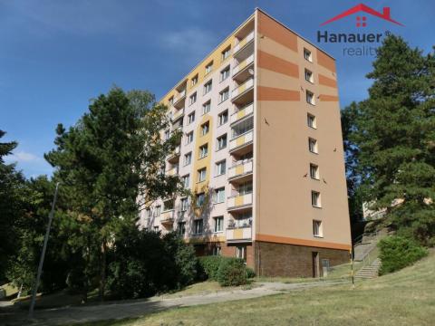 Pronájem bytu 2+1, Ústí nad Labem - Střekov, Tolstého, 60 m2