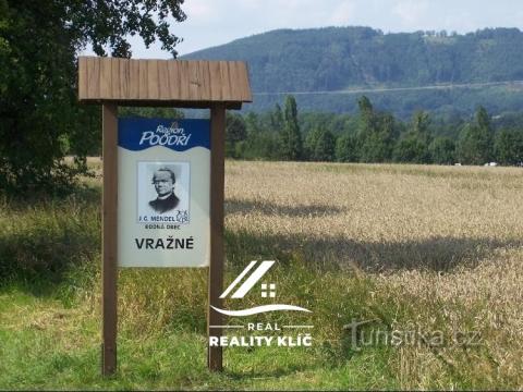 Prodej pozemku pro bydlení, Vražné - Hynčice, 1083 m2