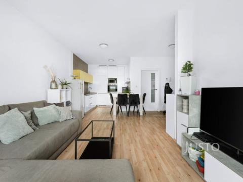 Pronájem bytu 2+kk, Brno - Slatina, Řípská, 59 m2
