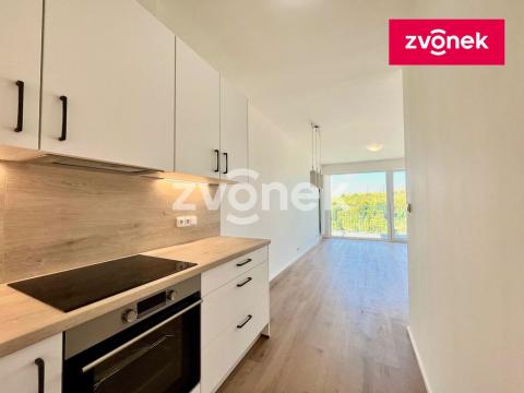 Pronájem bytu 2+kk, Zlín, Nad Stráněmi, 53 m2