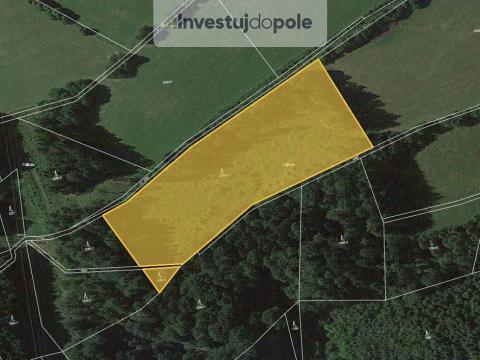 Prodej lesa, Cotkytle, 13509 m2