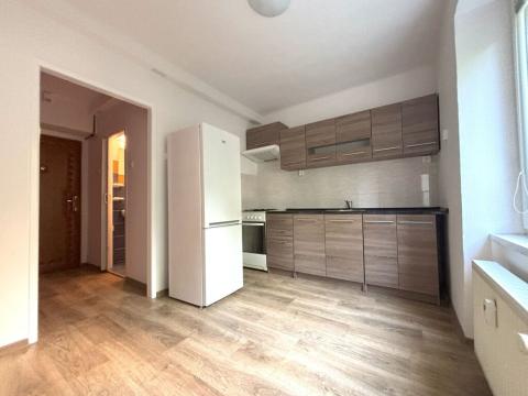 Pronájem bytu 1+1, Plzeň - Lobzy, Partyzánská, 28 m2