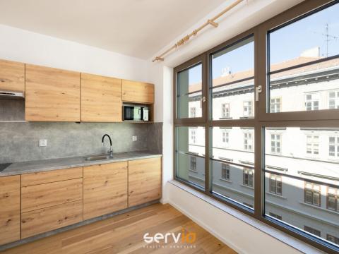 Pronájem bytu 1+kk, Brno, Bratislavská, 35 m2