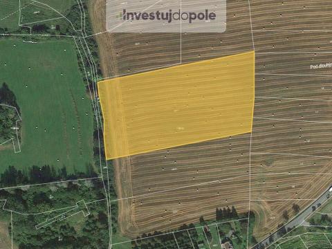 Prodej pole, Neurazy - Soběsuky, 17343 m2