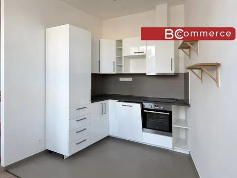 Pronájem bytu 2+kk, Brno, Křenová, 54 m2