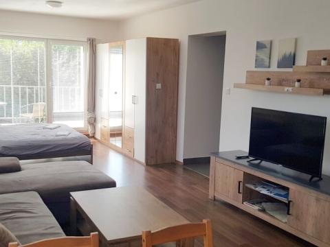 Pronájem bytu 1+kk, Hradec Králové - Nový Hradec Králové, Pod Zámečkem, 50 m2